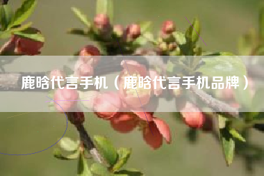 鹿晗代言手机（鹿晗代言手机品牌）