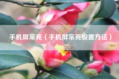手机屏常亮（手机屏常亮设置方法）