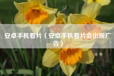 安卓手机看片（安卓手机看片会出现广告）