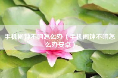 手机闹钟不响怎么办（手机闹钟不响怎么办安卓）
