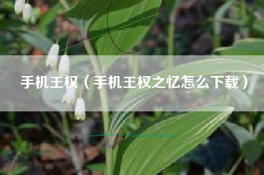 手机王权（手机王权之忆怎么下载）