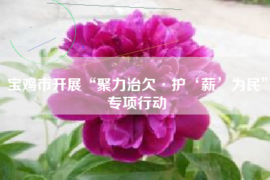 宝鸡市开展“聚力治欠·护‘薪’为民”专项行动